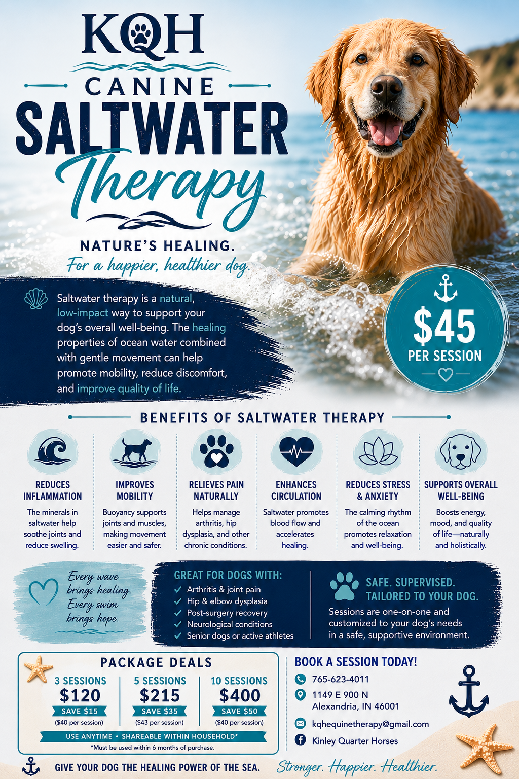 Dog receiving saltwater therapy