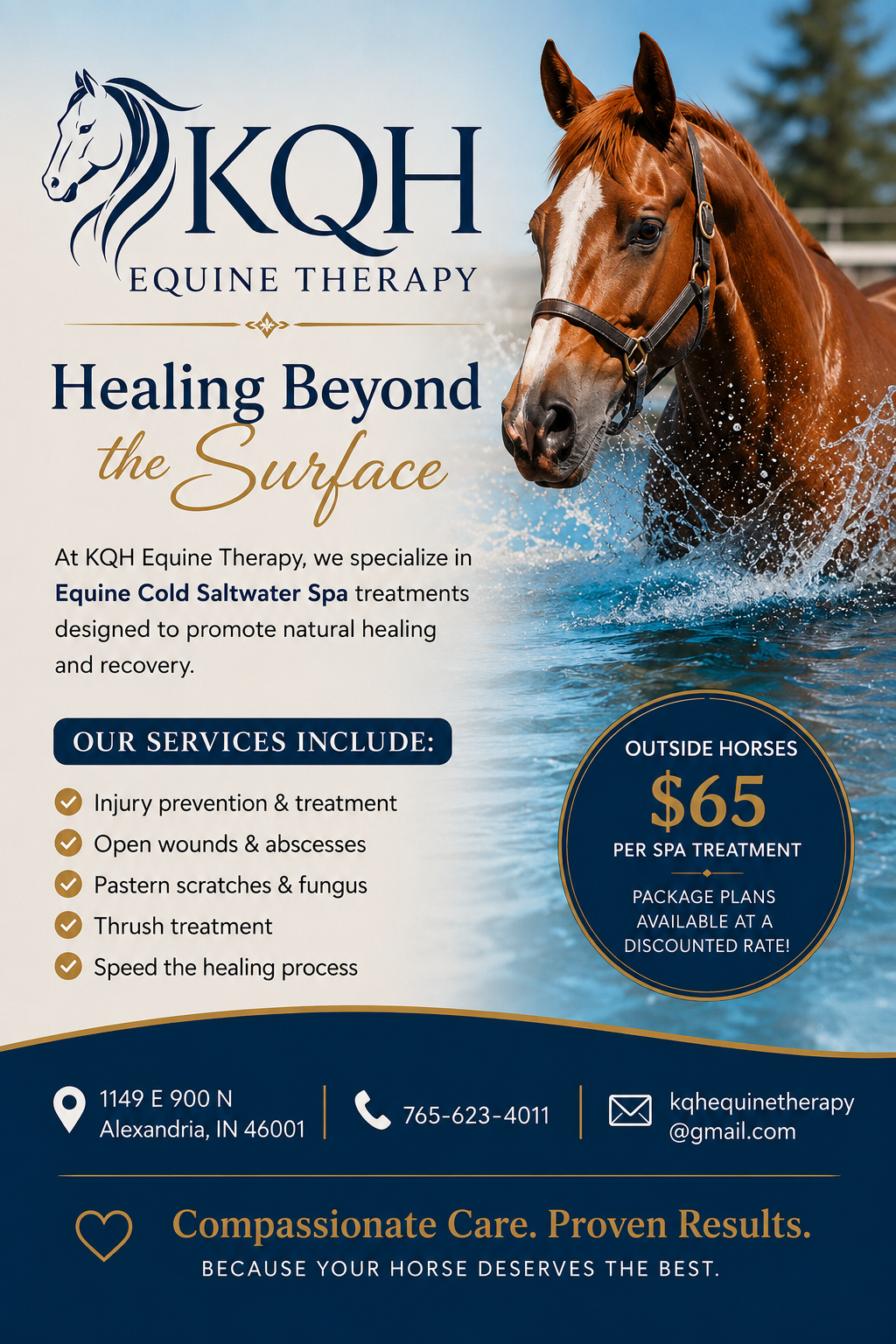 Horse in cold saltwater spa treatment